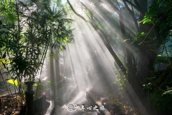 逗小猴开心系列212